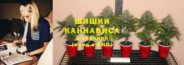 меф Бородино