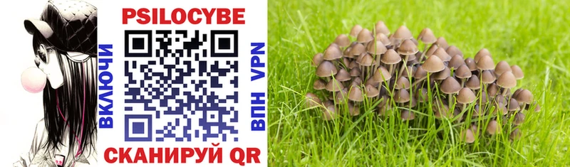 Псилоцибиновые грибы Magic Shrooms  Грязовец 
